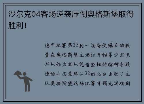 沙尔克04客场逆袭压倒奥格斯堡取得胜利！