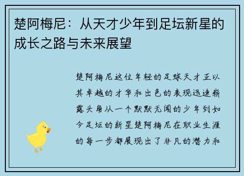 楚阿梅尼：从天才少年到足坛新星的成长之路与未来展望