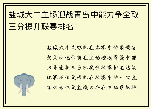 盐城大丰主场迎战青岛中能力争全取三分提升联赛排名