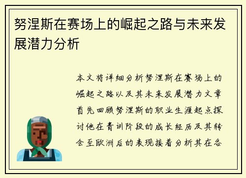 努涅斯在赛场上的崛起之路与未来发展潜力分析