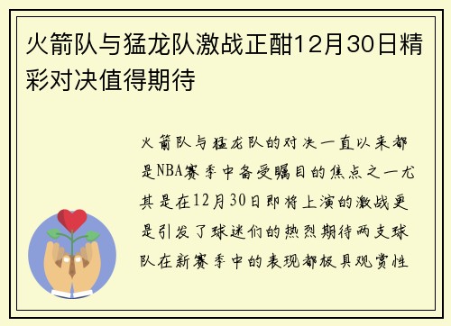 火箭队与猛龙队激战正酣12月30日精彩对决值得期待